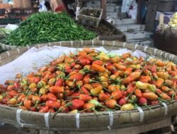 Hari Ini, Harga Cabai Rawit Merah di Pasar Kota Sukabumi Rp110 Ribu Perkilogram