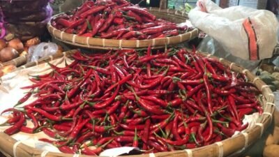 Hari Ini, Harga Cabai di Pasar Kota Sukabumi Semakin Mulai Tak Pedas