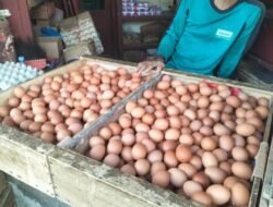 Hari Ini, Harga Telur Ayam di Pasar Kota Sukabumi Rp28 Ribu Perkilogram
