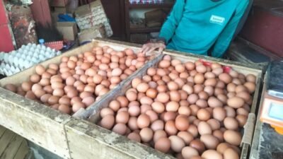 Pedagang telur ayam di Pasar Kota Sukabumi. Foto: Nuria Ariawan/HALOSMI.