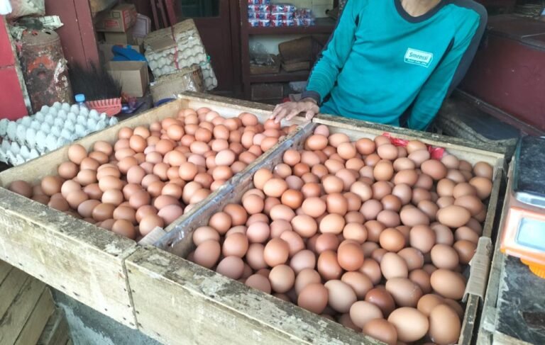 Pedagang telur ayam di Pasar Kota Sukabumi. Foto: Nuria Ariawan/HALOSMI.