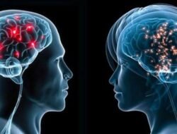 Sering Dianggap Sama Ternyata Beda! Ini Perbedaan Demensia dan Alzheimer