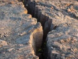 Waspada Megathrust! Ini Hal yang Perlu Dilakukan saat Gempa