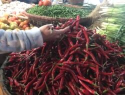 Hari Ini, Harga Cabai di Pasar Kota Sukabumi Mulai Tak Pedas