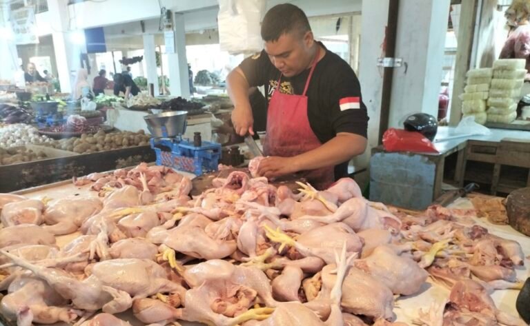 Pedagang daging ayam broiler di Pasar Pelita Kota Sukabumi. Foto: Nuria Ariawan/HALOSMI.