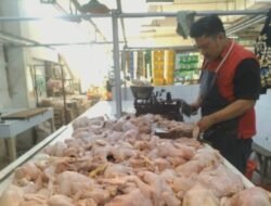 Hari Ini, Harga Daging Ayam di Pasar Kota Sukabumi Merangkak Naik