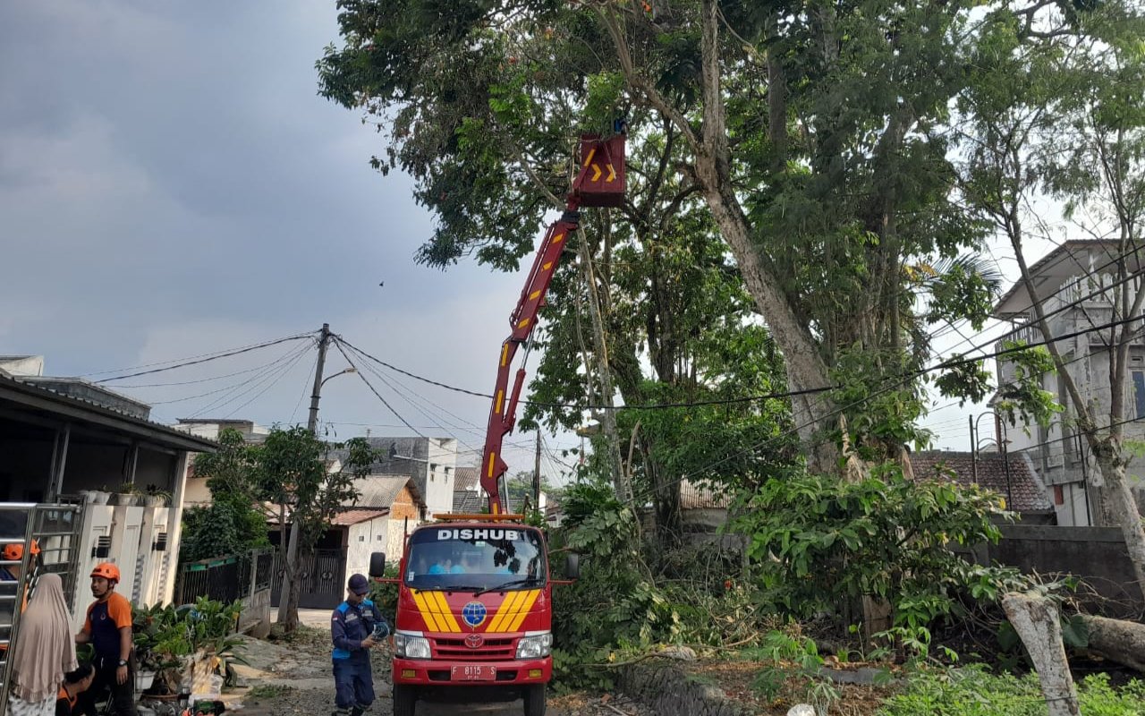 Petugas Dishub Kota Sukabumi menggunakan armada sky lift untuk melakukan pemangkasan pohon di Jalan Teratai, Kecamatan Cibeureum, pada Senin, 28 Oktober 2024. Foto: Istimewa.