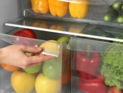 Cara yang Benar Menyimpan Sayur dan Buah agar Awet dan Tahan Lama