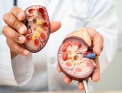 Benarkah, Minum Obat Lambung Bisa Merusak Ginjal?
