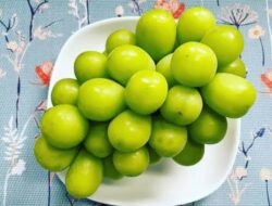 Kenali! Bahaya Residu Pestisida Anggur Muscat