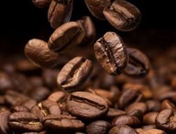Inilah 3 Biji Kopi Terbaik di Asia, Indonesia Peringkat Pertama!