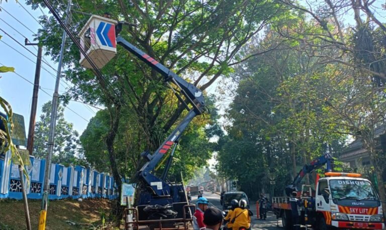 Petugas Dishub Kota Sukabumi melakukan perbaikan lampu PJU yang tak berfungsi, pada beberapa waktu lalu. Foto: Dok. HALOSMI.