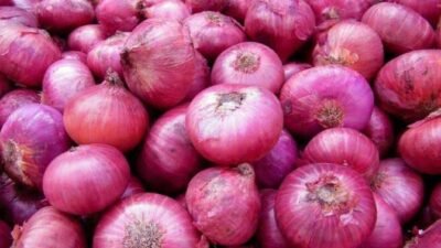 Ilustrasi bawang merah. Foto: Istimewa.