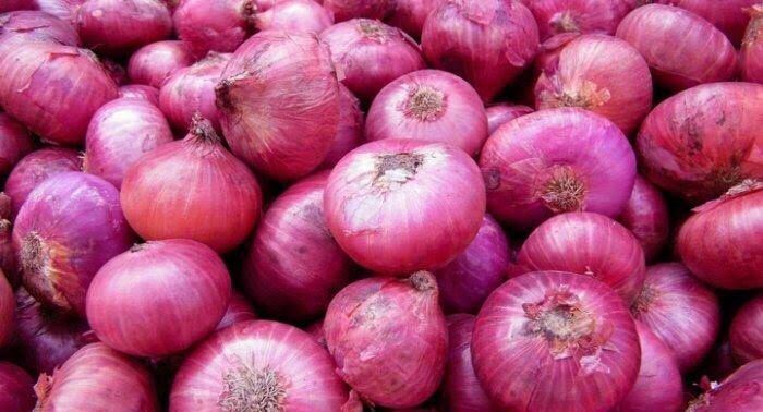 Ilustrasi bawang merah. Foto: Istimewa.