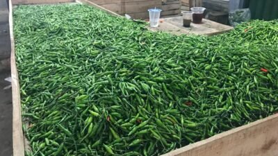 Cabai rawit hijau yang dijual di Pasar Kota Sukabumi. Foto: Nuria Ariawan/HALOSMI.