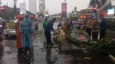 Petugas gabungan saat mengevakuasi dahan pohon beringin yang tumbang di Jalan Veteran II, Kecamatan Cikole, tepatnya di depan Gedung Juang 45, pada Selasa, 26 November 2024. Foto: Pusdalops PB BPBD Kota Sukabumi for HALOSMI.