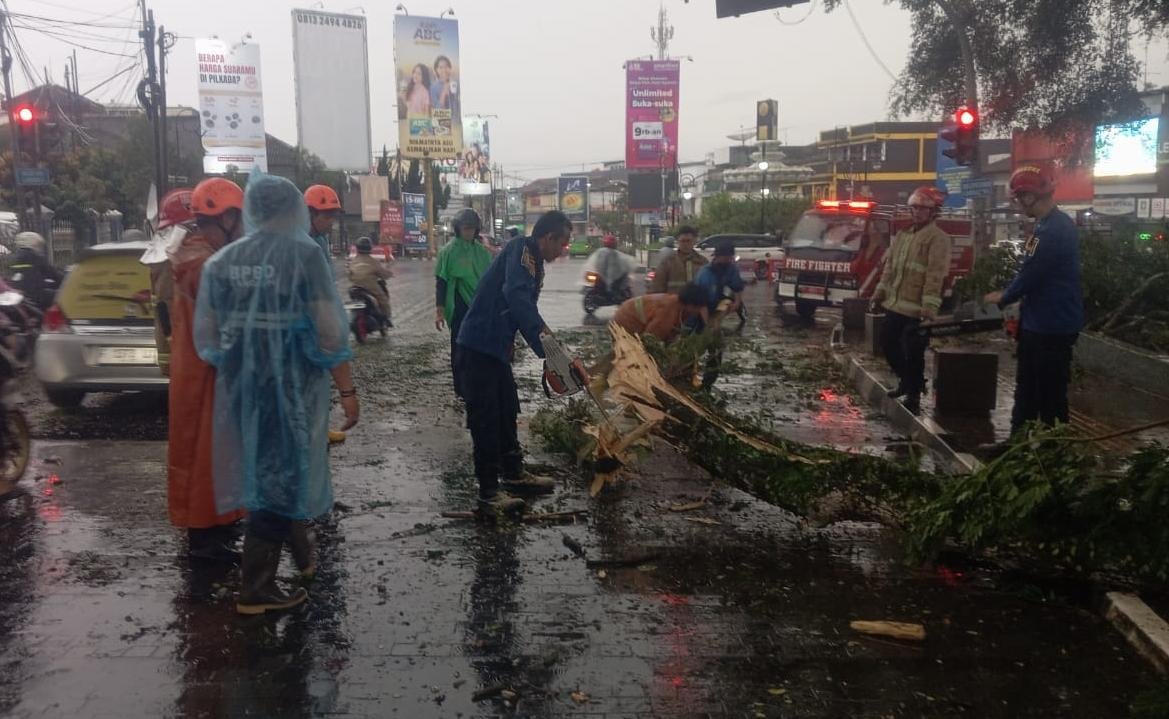 Petugas gabungan saat mengevakuasi dahan pohon beringin yang tumbang di Jalan Veteran II, Kecamatan Cikole, tepatnya di depan Gedung Juang 45, pada Selasa, 26 November 2024. Foto: Pusdalops PB BPBD Kota Sukabumi for HALOSMI.