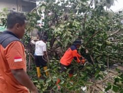 Banjir Limpasan dan Pohon Tumbang di Kota Sukabumi, BPBD Cacat Ada 9 Titik Lokasi Terdampak