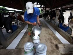 Wakil Ketua DPR RI Minta Pemerintah Prioritaskan Susu dari Peternak Sapi Lokal