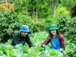 Begini Cara Daftar Petani Milenial 2024 dengan Mudah!