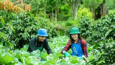 Begini Cara Daftar Petani Milenial 2024 dengan Mudah!