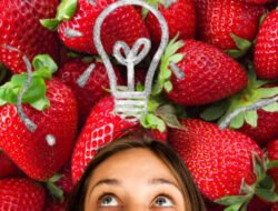 Apa Itu Generasi Stoberi, yang Disebut Tidak Tangguh?