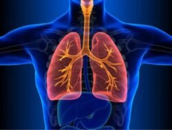 Paru-paru Kamu Bermasalah? Yuk Coba Cara Alami Ini untuk Bantu Bersihkan