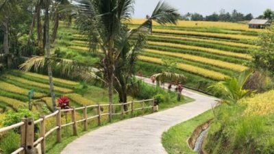 Dua Desa Ini Jadi Desa Wisata Terbaik di Dunia