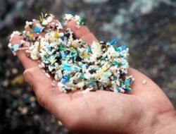 Deretan Negara Penyumbang Sampah Plastik Terbanyak di Dunia, Indonesia Termasuk?