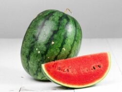 Ini Alasan Jangan Menyimpan Semangka Didalam Kulkas!