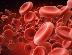 Yuk Kenali, Resiko Penyakit Berdasarkan Golongan Darahnya!