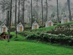 Simak! Rekomendasi Tempat Glamping di Indonesia Bisa jadi Tujuan Liburan Akhir Tahun