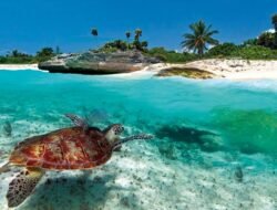 Ini Pulau Terpadat di Dunia Dihuni Hingga 800 Orang
