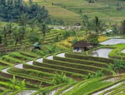 Yuk, Kenalan dengan 4 Desa Wisata Terbaik Dunia 2024 Asia Tenggara!