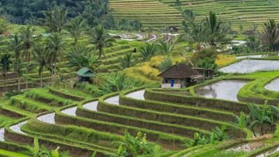Yuk, Kenalan dengan 4 Desa Wisata Terbaik Dunia 2024 Asia Tenggara!