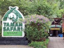 Tahukah Kamu Siapa Pemilik Taman Safari Indonesia Bogor? Simak Artikel Ini Ya!