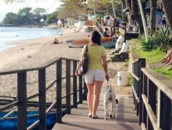 Mau Liburan Bawa Hewan Peliharaan, Ini Tips Agar Kalian Nyaman Tanpa Stres