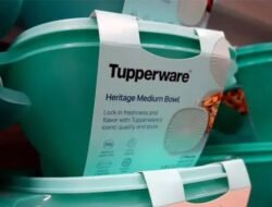 Deretan Perusahaan Ternama Ini Tumbang di Tahun 2024!