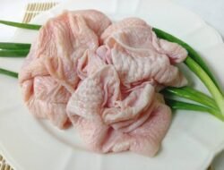 Kulit Ayam Ternyata Banyak Manfaatnya Loh!