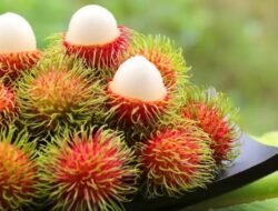 Dua Kelompok Orang Ini Tak Boleh Makan Rambutan, Siapa Saja Ya?