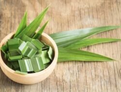 Catat! Manfaat Daun Pandan untuk Kecantikan dan Kesehatan Kulit