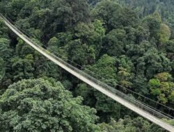 Berlibur di Sukabumi? Ini Wisata yang Wajib Kalian Kunjungi Selama Disana