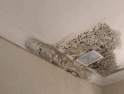 Plafon Kamar Mandi Jamuran? Yuk Simak Cara Ampuh untuk Hilangkannya!