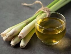 Air Rebusan Serai Mengandung Banyak Manfaat, Salah Satunya Turunkan Berat Badan!
