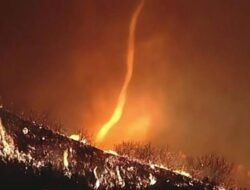 Ternyata Ini yang Dimaksud Tornado Api Forenado yang Teror LA saat Kebakaran