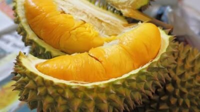 Ini Loh, Jenis Durian Terenak Asli Indonesia, Wajib Kalian Coba!