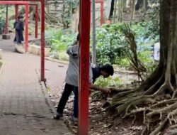 Apa Itu Koin Jagat yang Viral di Media Sosial?