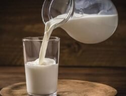 Manakah yang Lebih Bagus untuk Anak, Susu ikan atau Susu Pertumbuhan?