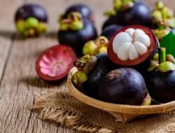Si Ratu Buah, Inilah Manfaat Melimpah dari Manggis