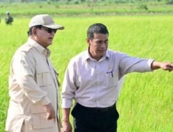 Resmi Ditetapkan! Pupuk Organik dapat Subsidi dari Pemerintah